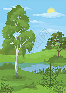 夏季风景 树木和河流生长针叶野生动物森林公园天空太阳农村桦木气候图片
