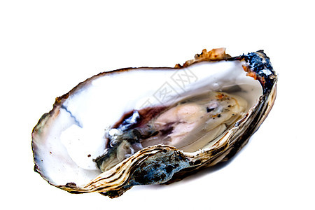 一个牡蛎贝壳壳类营养健康海洋贝类熟食午餐美食奢华图片