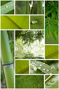 zen 拼码冥想文化植物绿色活力热带森林温泉环境叶子图片