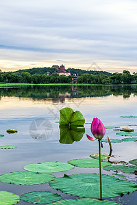 夏日宫殿旅游建筑学天空历史金子白色花园旅行风景佛教徒图片