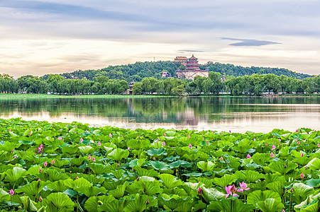 夏日宫殿晴天建筑学佛教徒天空旅游公园旅行历史风景花园图片