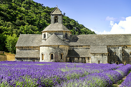 塞南克修道院旅行地标植物风景教会蓝色紫色假期香气农村图片