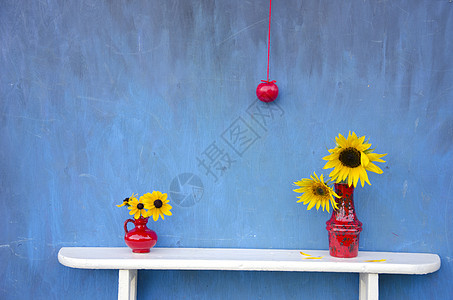 与红花 鲜花和苹果共生图片