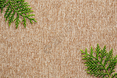 棕色布面背景框架自由课程墙纸棉布生活场地织物绿色纺织品图片