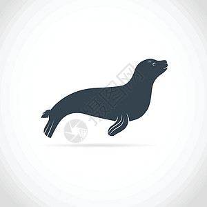 海狮矢量图像图片