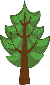 卡通针叶树 孤立的植物森林公园绘画树木枞树环境植物学植物群插图图片
