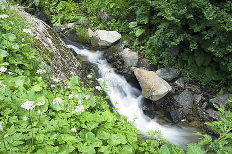 山岳中有许多瀑布植物叶子旅行木头国家环境石头公园生活溪流图片