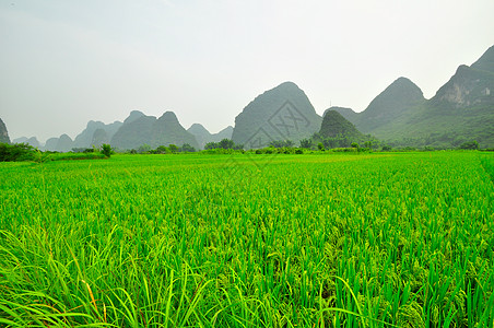 扬肖的喀斯特山地景色丘陵地形水路支撑山脉荒野风景编队森林旅游图片