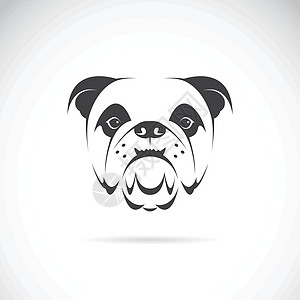狗脸矢量图像(bulldog)图片