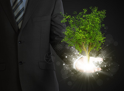 商务人士持有神奇的绿树和光线智慧木头智力想像力知识植物生态生长树叶套装图片