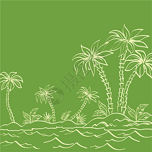 海岛 棕榈树以绿色为轮廓海浪生态叶子棕榈木头热带椰子胰岛植物群海洋图片