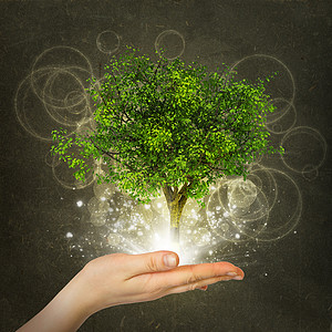 手握着神奇的绿树和光线环境植物生态圆圈智慧知识魔法土地创造力智力图片