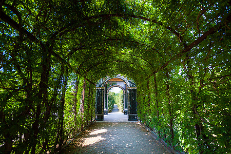 爱的隧道绿色的夏天高清图片