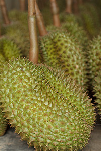 达里安语Name绿色水果热带榴莲市场图片