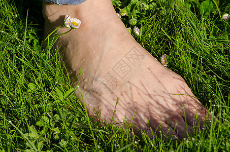 露露露的晨草地上的赤脚女腿图片
