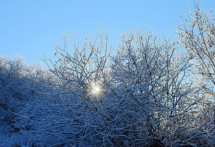 山上满是霜和积雪的树木气候高地暴风雪太阳天空阳光季节植物群首脑国家图片