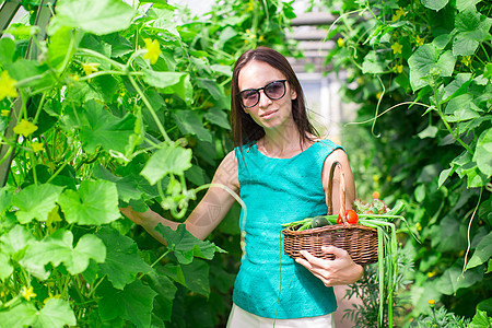 在温室里拿着一篮绿菜和洋葱的年轻女子园丁农民篮子快乐园艺收成微笑女性农业女孩图片