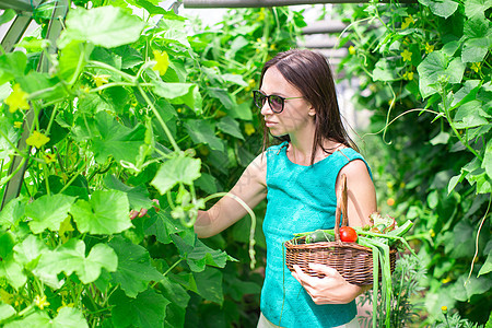 在温室里拿着一篮绿菜和洋葱的年轻女子女性农民园艺水果园丁篮子季节农场微笑乐趣图片