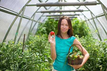 在温室里拿着一篮绿菜和番茄的年轻女子收获女性植物国家水果蔬菜农业乐趣幸福园艺图片