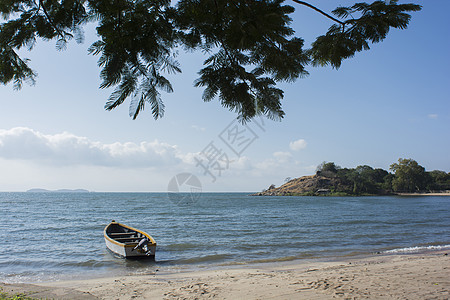 马拉维湖支撑海湾海滩植物背景