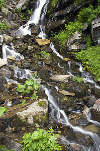 山岳中有许多瀑布石头生态环境苔藓森林旅行墙纸公园木头植物图片