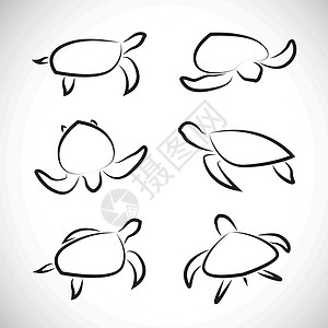 海龟矢量组图片