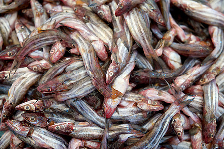 鱼食物气候热带鲶鱼市场海鲜店铺鲇鱼图片