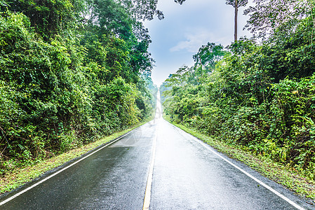 湿路街道孤独运输路面小路农村黑色旅行粒状反射图片