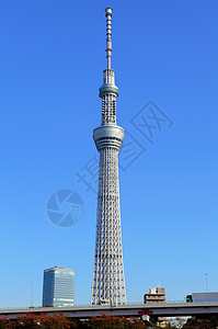 日本无线电塔景点游客收音机墨田天空电视晴空地标城市图片