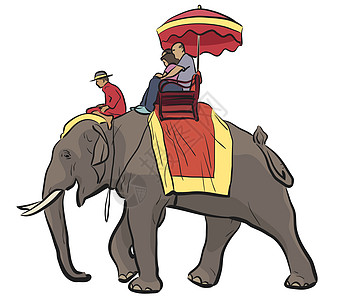 赶走大象骑术运输象牙艺术品獠牙插图驯象师艺术游客动物图片