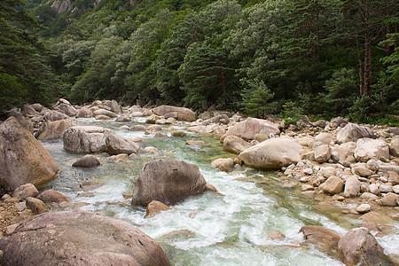 Kumgang 山石头松树森林天空岩石图片