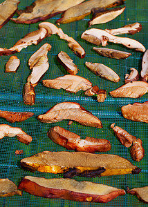 蘑菇灵芝菌类市场食物蔬菜植物棕色背景图片