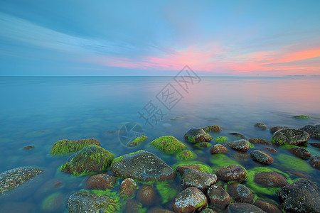 莫埃伦日落紫色阳光海景支撑藻类岩石石头天空薄雾海岸图片