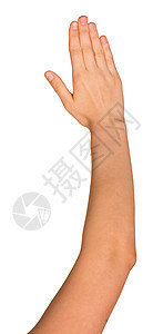 一位年轻女性的张开手白色棕榈背面手指成人背景图片
