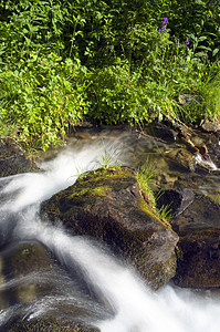 山岳中有许多瀑布国家旅游墙纸流动冥想溪流木头公园生活苔藓图片