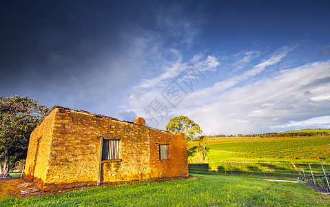 南澳葡萄园旧房子酒厂农场旅行藤蔓葡萄园旅游乡村背景