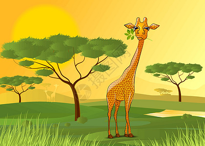 日落时吃花叶的法拉菲叶子动物园橙子野生动物荒野宠物天空动画片太阳孩子图片