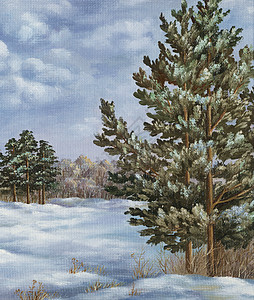 手绘雪油漆 冬季森林针叶气候枞树艺术品绘画天空植物群艺术手工植物背景