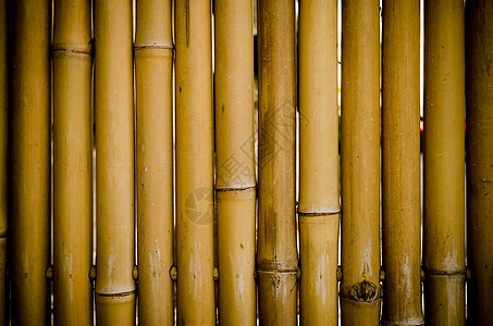 竹子矢量黄竹背景和纹理 低调灯光背景