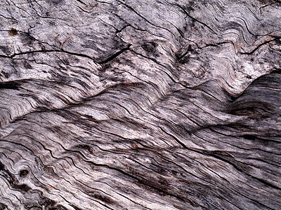 树上旧死树的背景纹理材料阴影桌子橡木边界装饰木工风化柱子地面图片