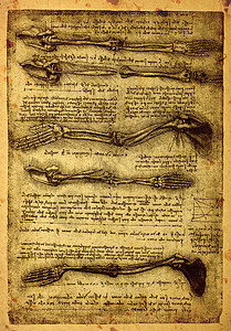 解解剖学名声科学家身体草图科学古董生理男人插图保健图片