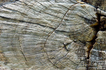 旧木质表面松树风化木头木材风格柱子硬木桌子阴影控制板图片