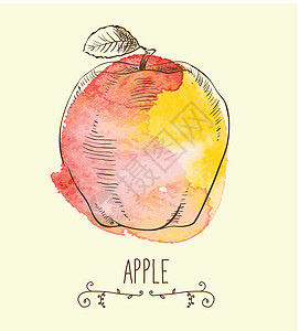 新的有益生态友好型苹果墨水插图饮食食物艺术品卡通片收成农业艺术水果图片