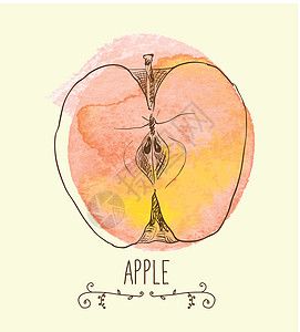 新的有益生态友好型苹果水果卡通片饮食墨水食物团体橙子叶子艺术收藏图片
