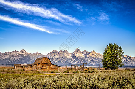 Grand Teton山脉和废弃谷仓的景象图片