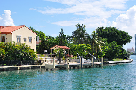 迈阿密的恒星和棕榈群岛房子奢华棕榈别墅住宅建筑建筑学晴天海滩窗户图片