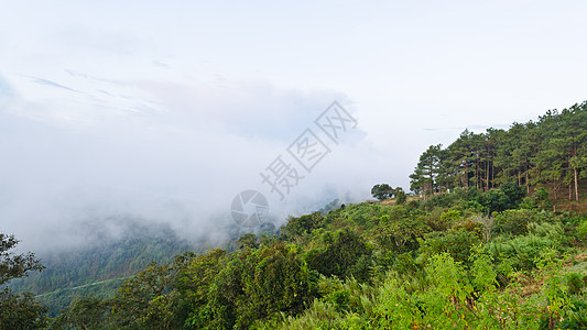 泰缅清迈省山场景旅游阴霾森林顶峰地块天空土井山脉公园图片