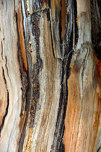 旧木质表面阴影装饰风化木材柱子木地板地面橡木硬木材料图片