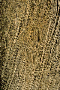 旧木质表面地面阴影风化木地板橡木木头材料桌子边界木工图片