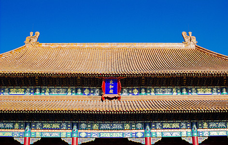 紫禁城黄色木头栏杆贵族天空文化蓝色生物培养雕塑背景图片